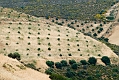 238_Kreta Wschodnia